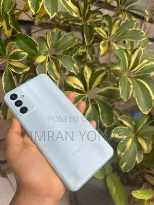 Samsung Galaxy F13 64 GB Blue