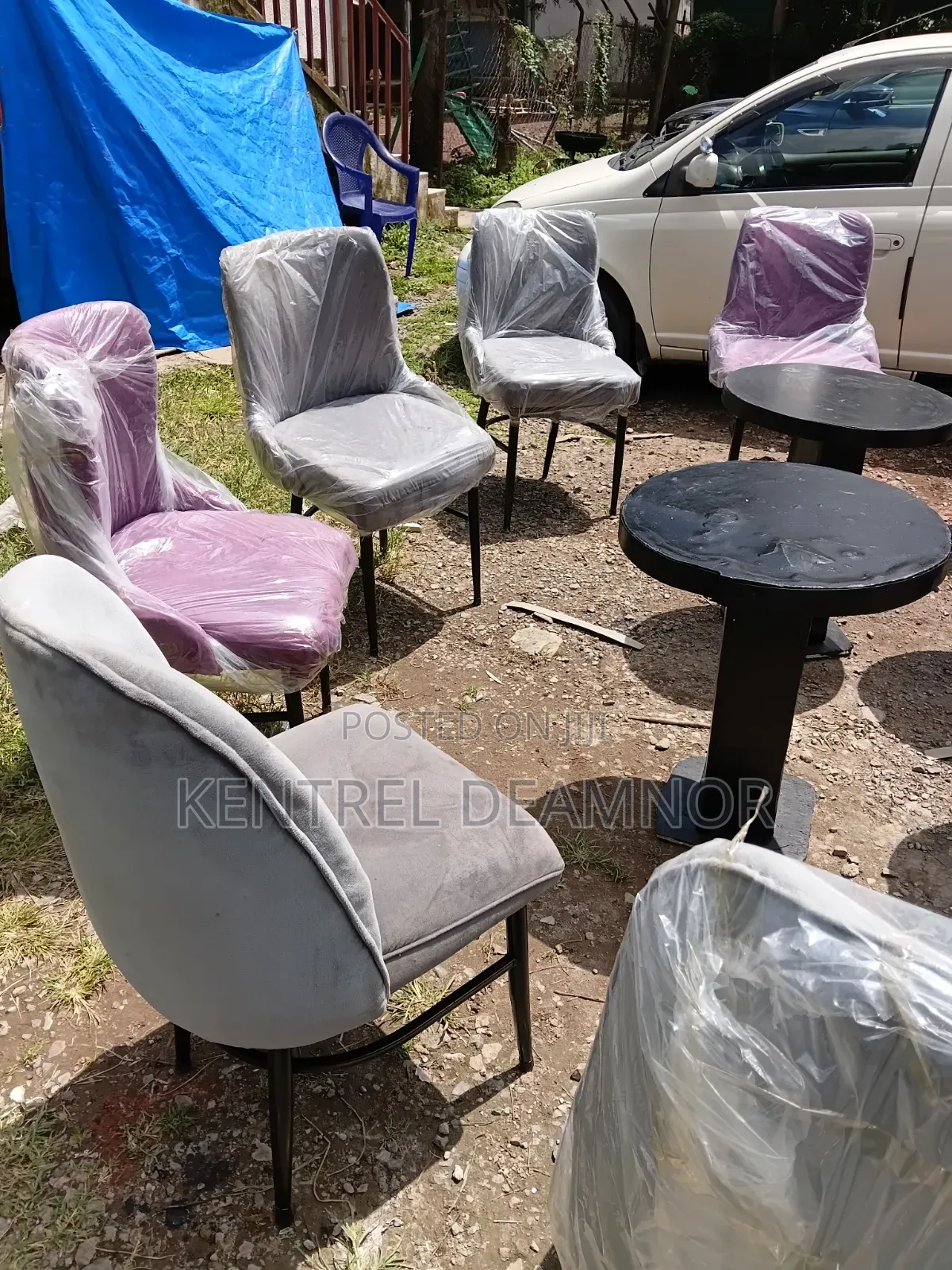 Dinning Chairs