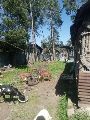 Land for Sale የሚሸጥ መሬት