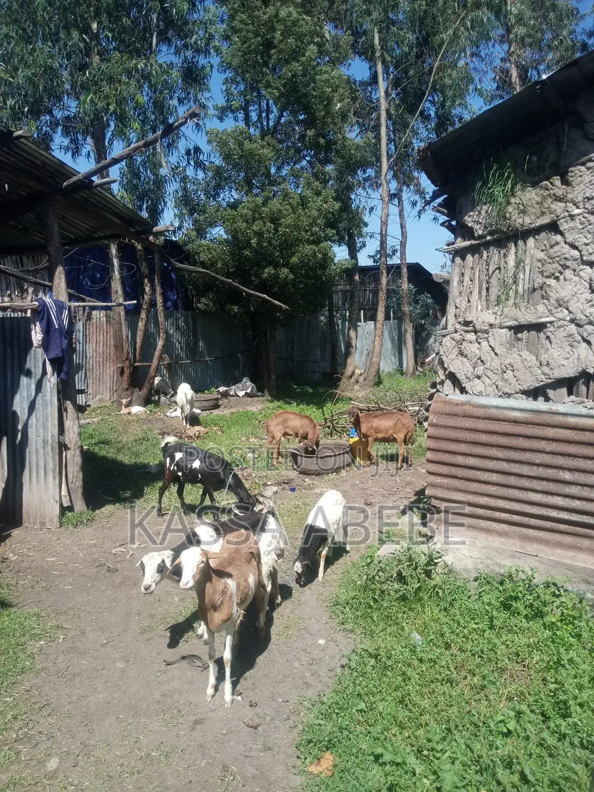 Land for Sale የሚሸጥ መሬት