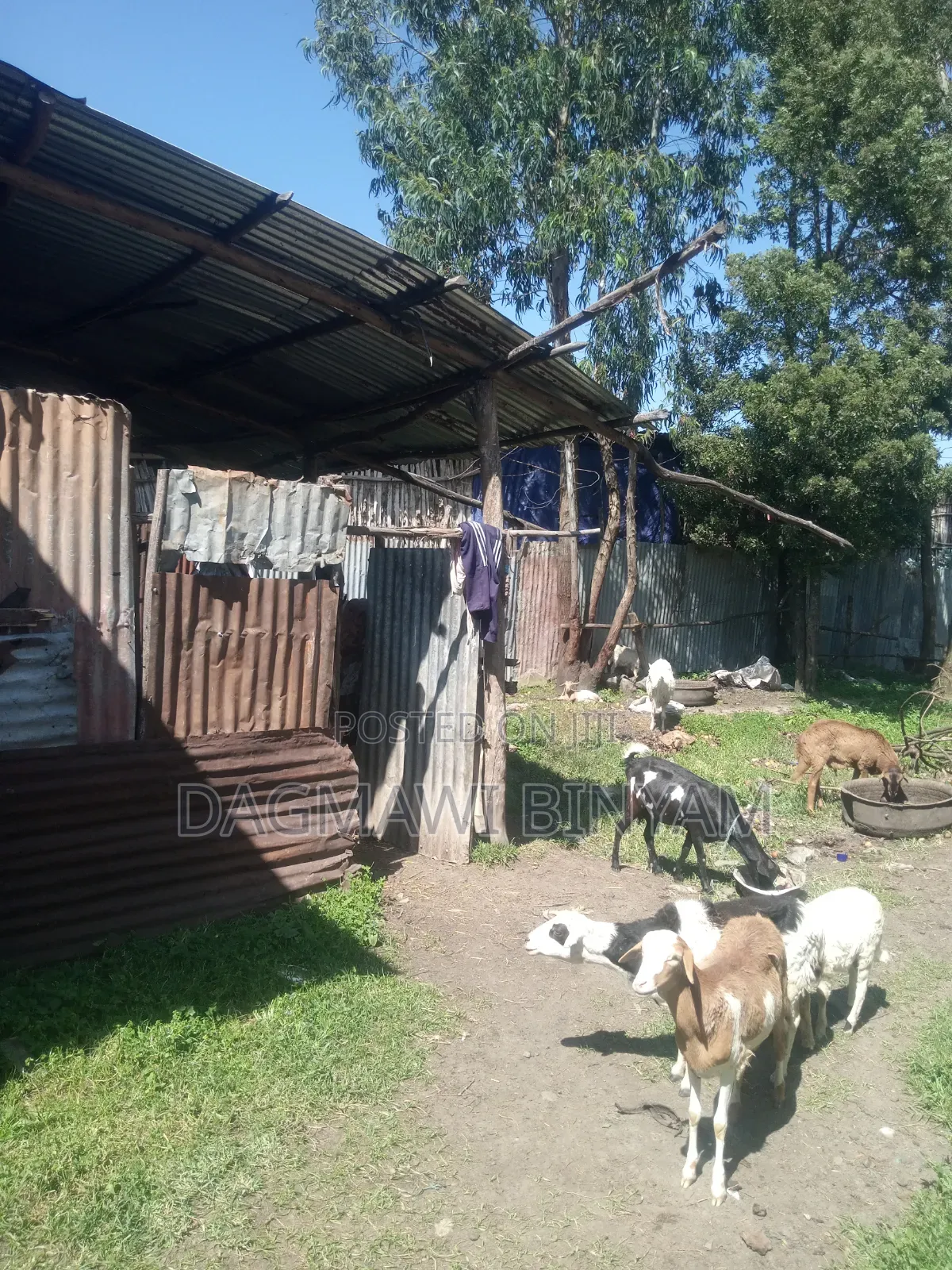 Land for Sale የሚሸጥ መሬት