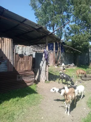 Land for Sale የሚሸጥ መሬት