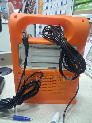 Solar Torch Light