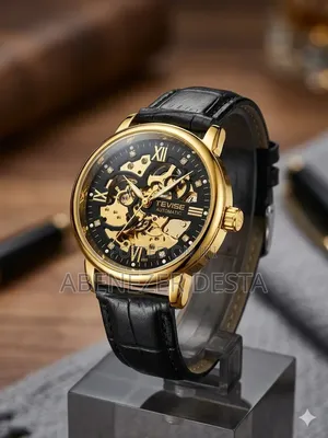 Tevise Men Automatic Luxury Watch Leather Water Resistant