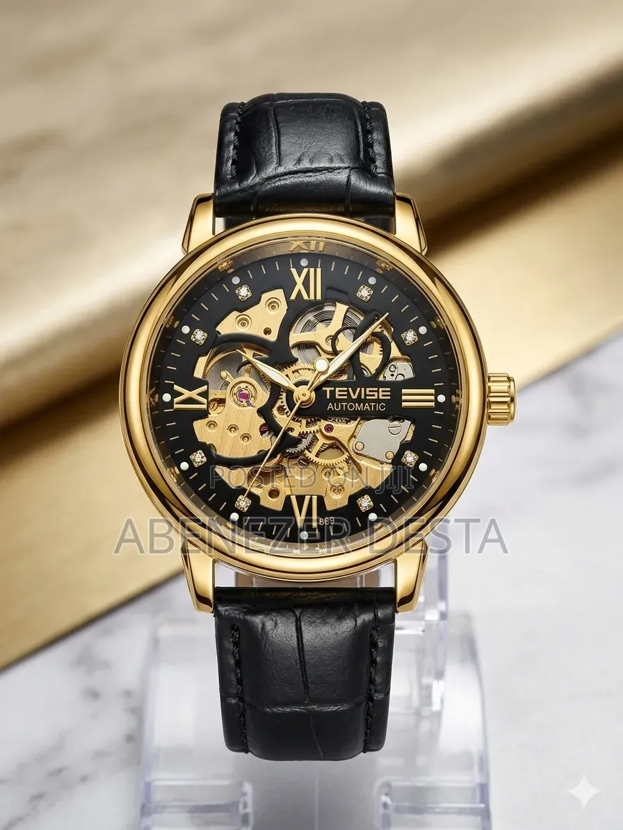 Tevise Men Automatic Luxury Watch Leather Water Resistant