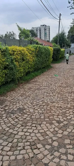 ባዶ ቦታ 1500ካሬ
