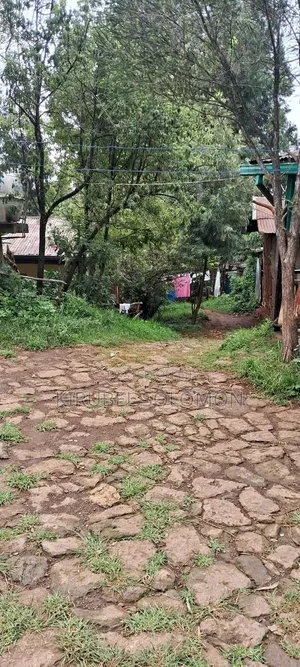 ባዶ ቦታ 1500ካሬ
