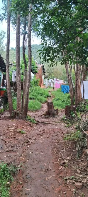 ባዶ ቦታ 1500ካሬ