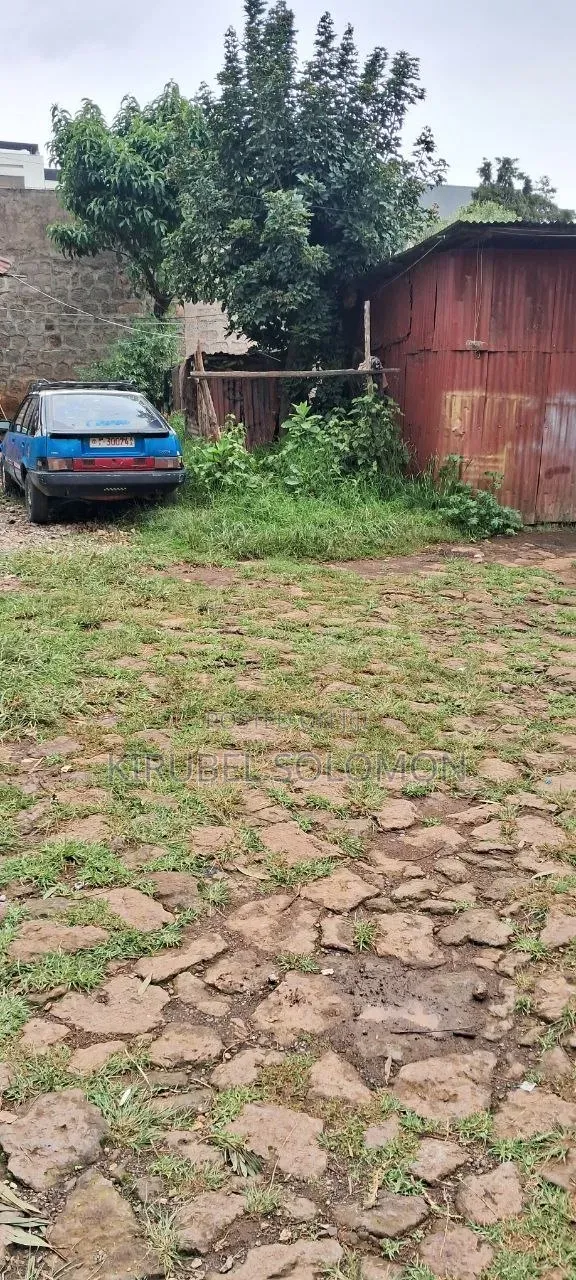 ባዶ ቦታ 1500ካሬ