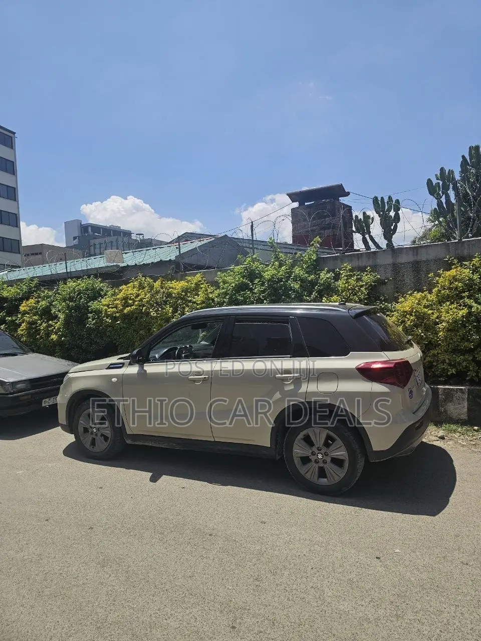 Suzuki Vitara 2021 Gold
