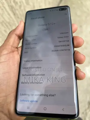 Samsung Galaxy S10 Plus 128 GB Gray