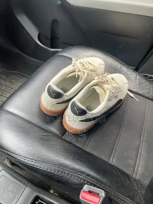 Puma Shoe From USA