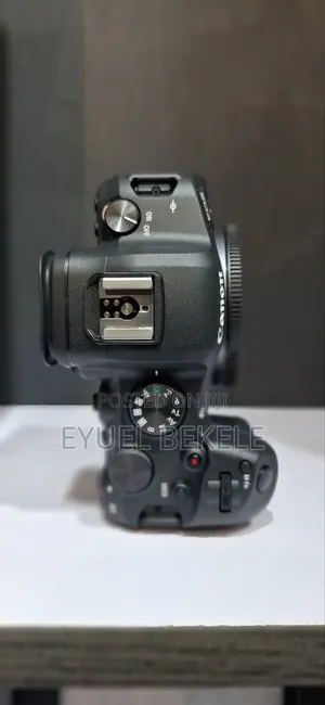 Canon R6 Mark I