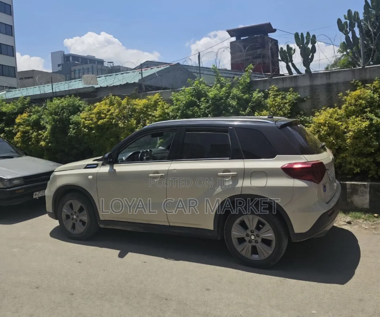 Suzuki Grand Vitara 2021 Ivory