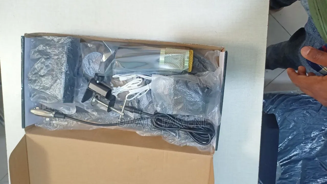 Podcast Mic