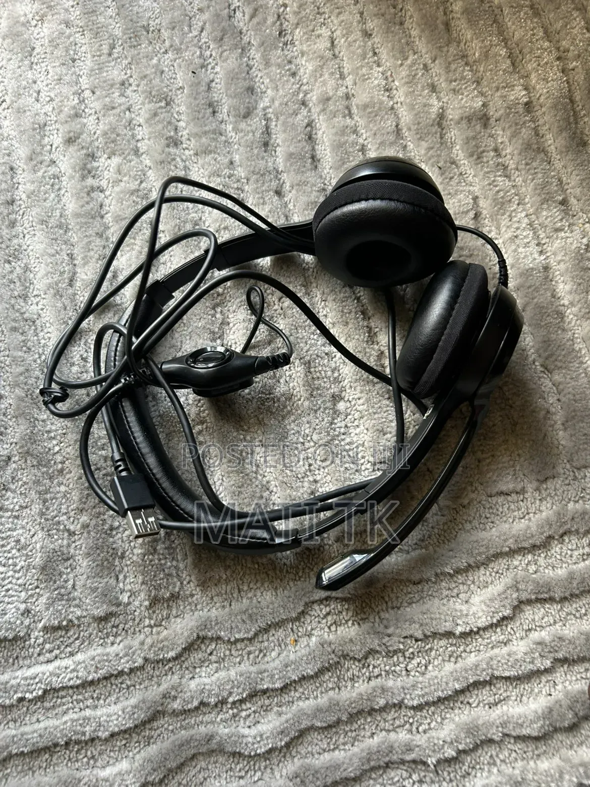 Headset With a Mic