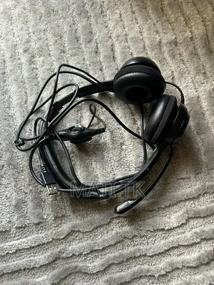 Headset With a Mic