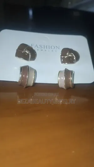 Beautiful Stainless Steel Earnings