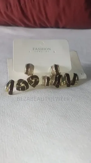 Beautiful Stainless Steel Earnings