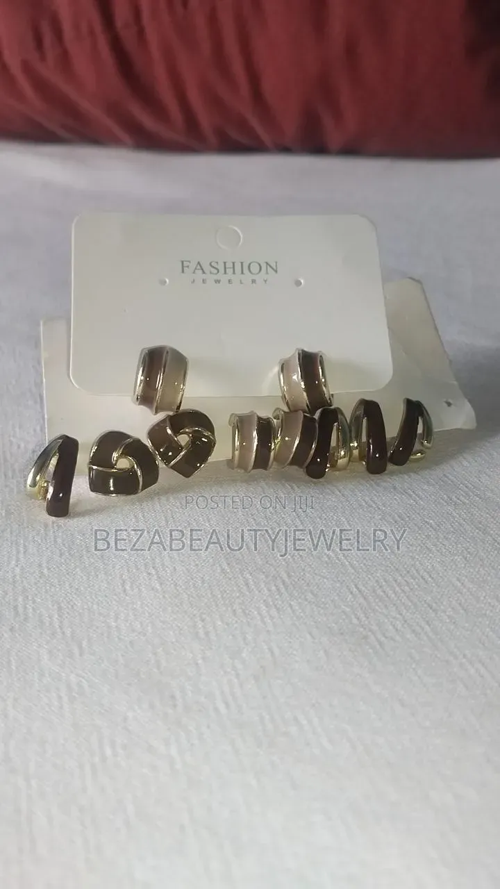 Beautiful Stainless Steel Earnings