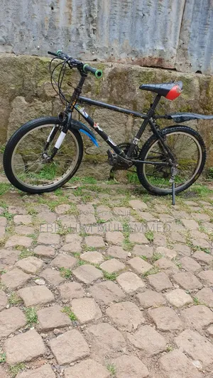 20 Inch Bike