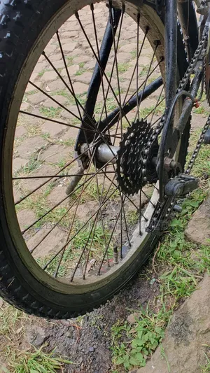 20 Inch Bike