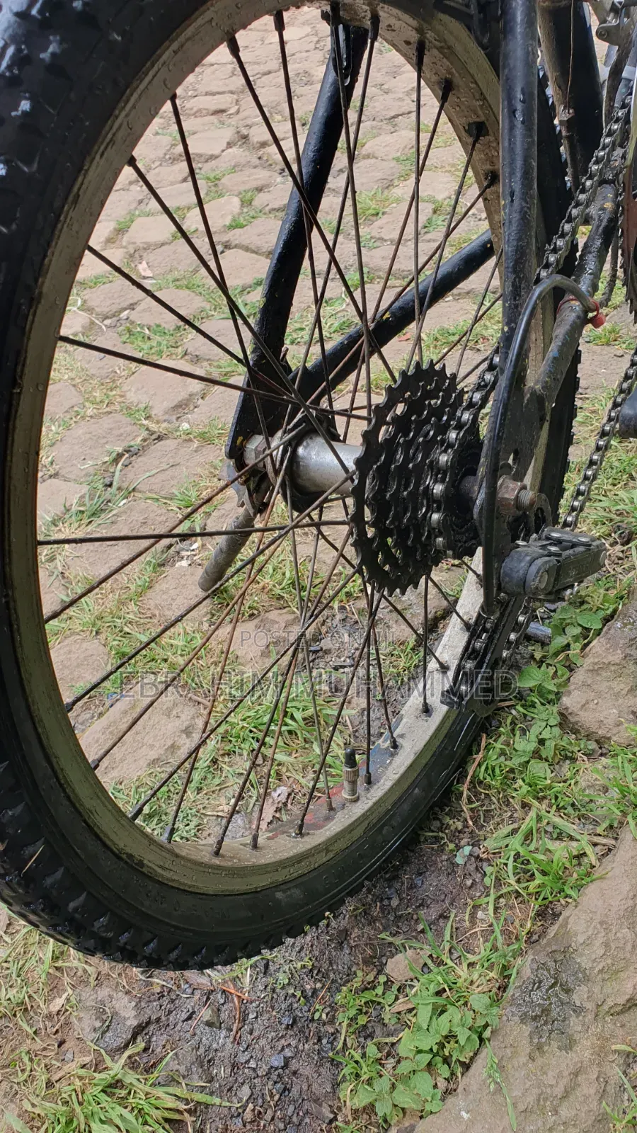 20 Inch Bike