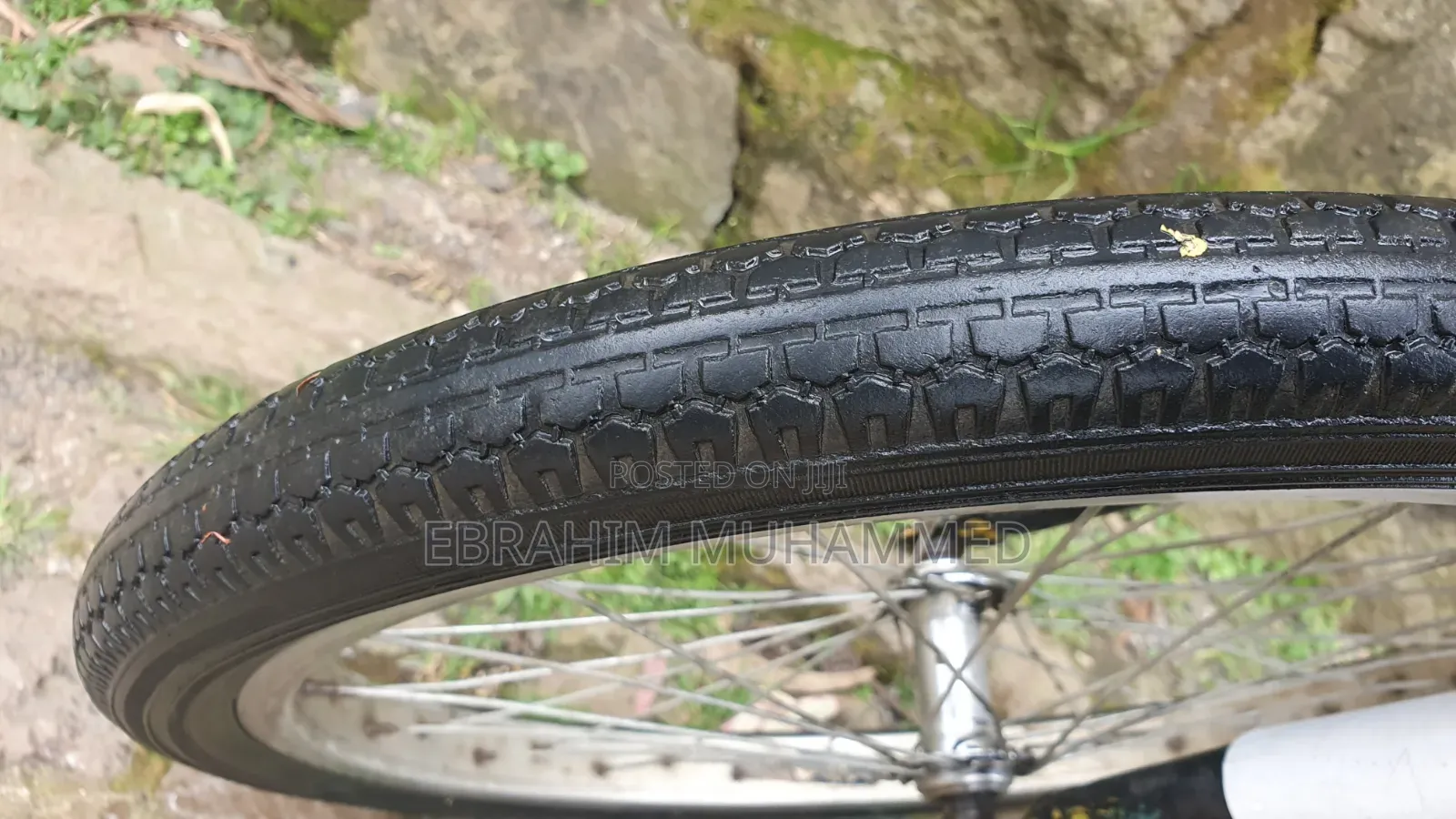 20 Inch Bike