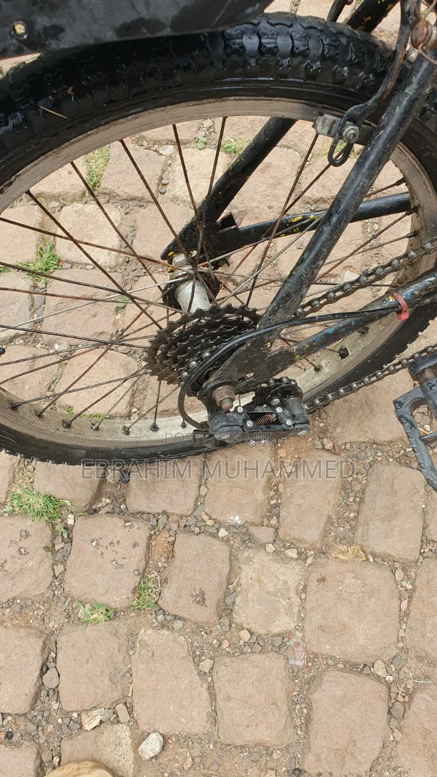 20 Inch Bike