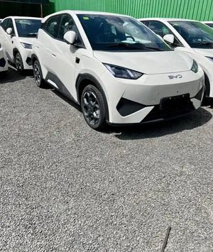 New BYD Seagull 2025 Purple