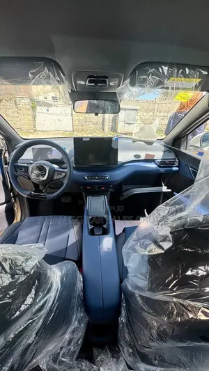 New BYD Seagull 2025 Purple