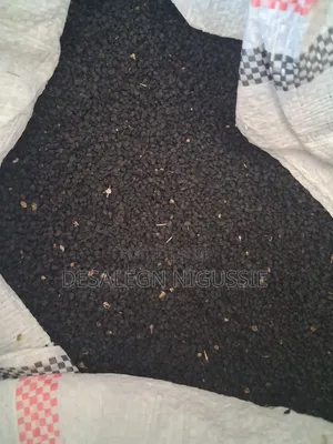 Onions Seed (የሽንኩርት ዘር)