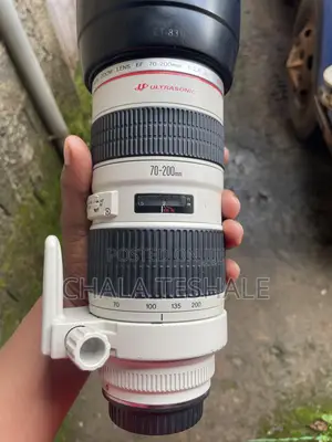 Zebra Lens 70-200 Mark 1