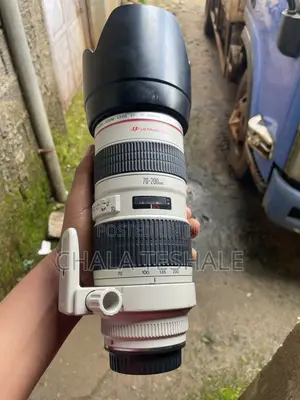 Zebra Lens 70-200 Mark 1