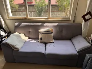 Living Room Sofas