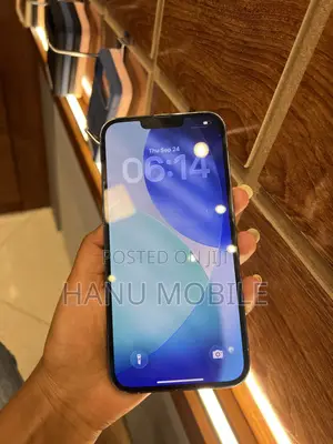 Apple iPhone 13 Pro Max 256 GB Blue