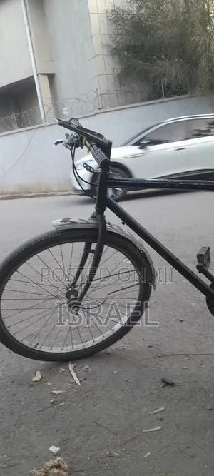 Phoenix Bike