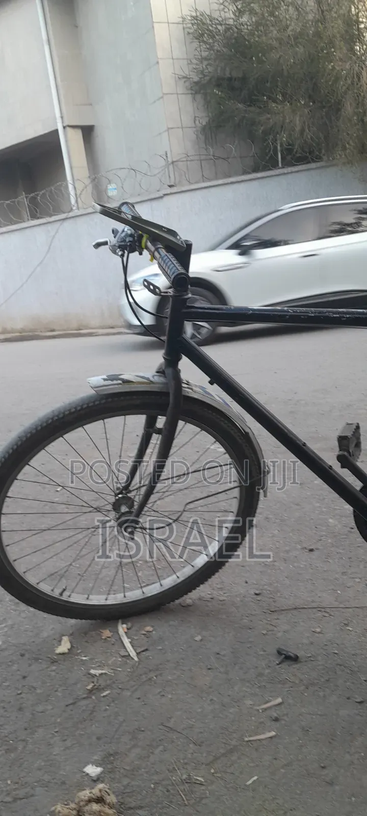 Phoenix Bike