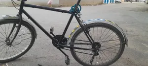 Phoenix Bike