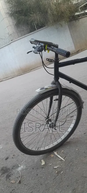 Phoenix Bike