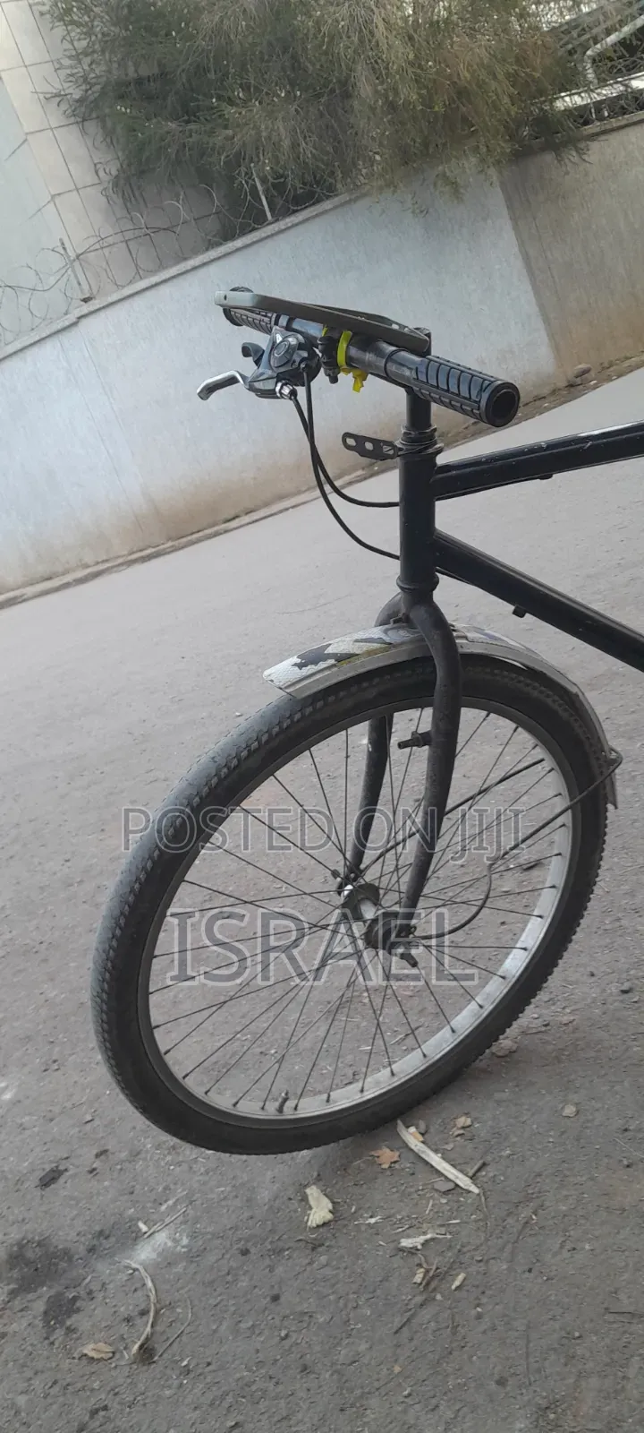 Phoenix Bike