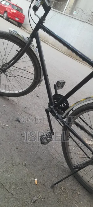 Phoenix Bike