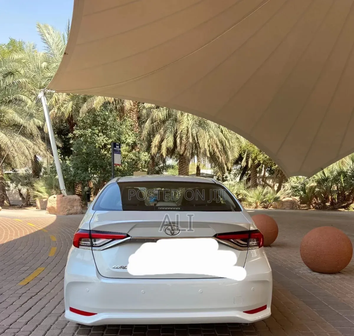 Toyota Corolla 2022 White