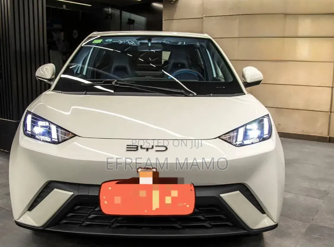 BYD Seagull 2025