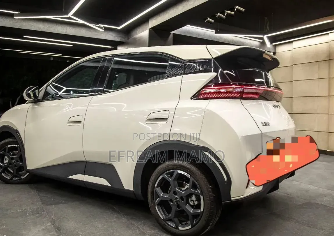 BYD Seagull 2025