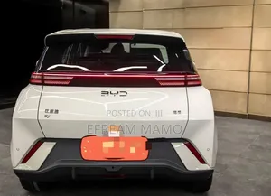 BYD Seagull 2025