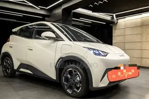 BYD Seagull 2025