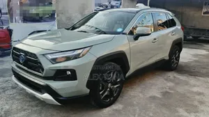 Toyota RAV4 2022 Gray