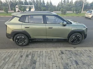 Dongfeng Nammi Rent