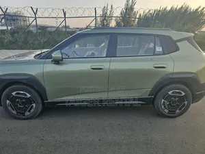 Dongfeng Nammi Rent